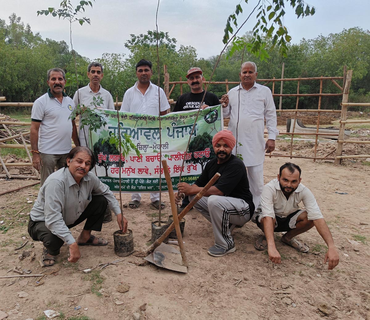 Haryaval Punjab Plants Trees